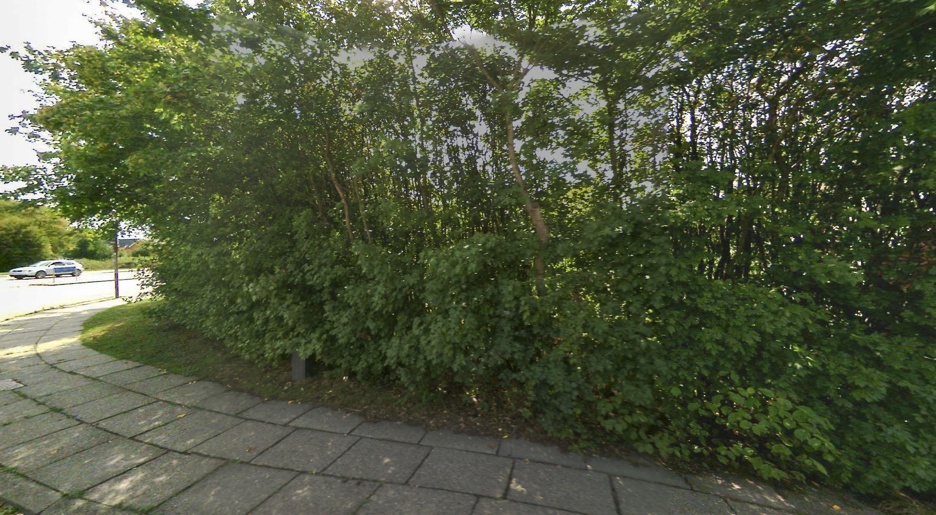 Billede af lejlighedstype 1