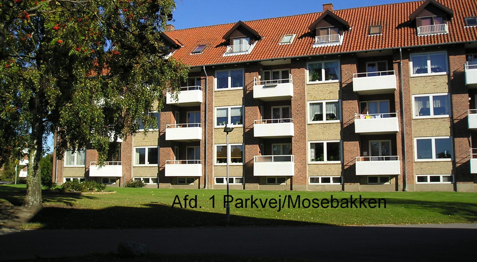 Billede af lejlighedstype 1