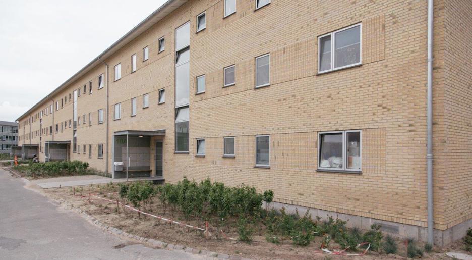 2-room apartment in Vejle image 4