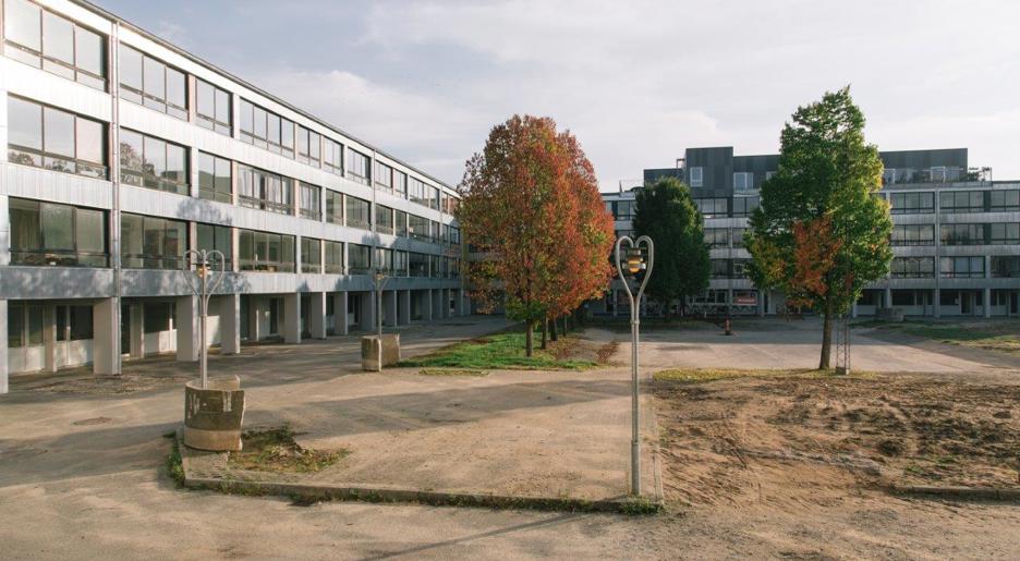 Løget Høj billede 5