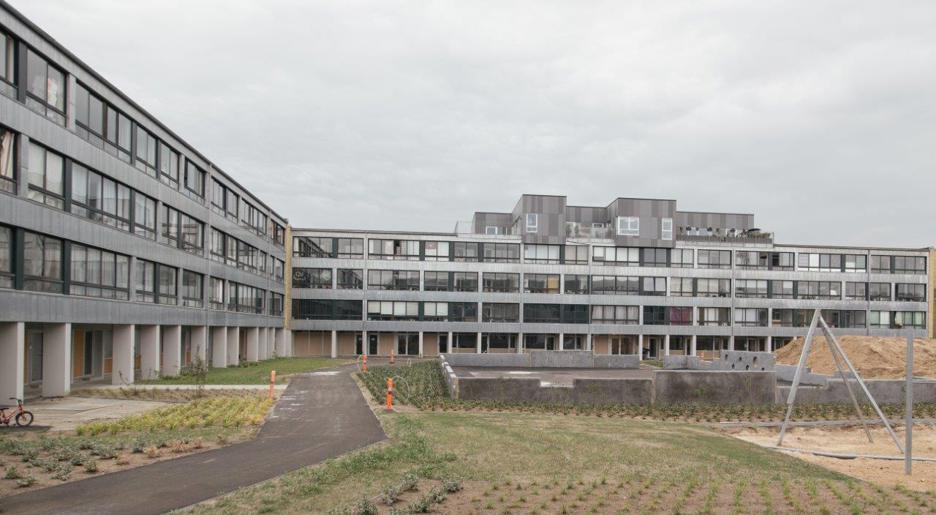 Løget Høj billede 4