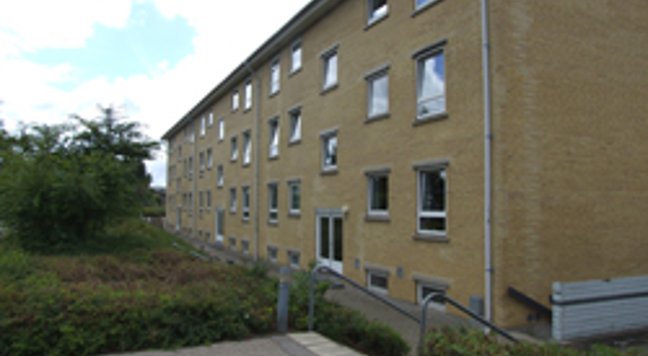 Humlevej billede 1
