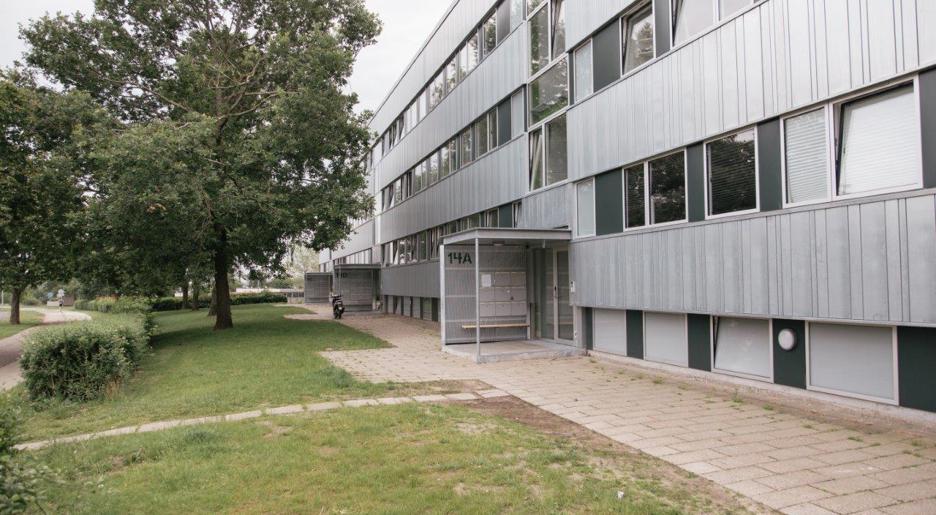 Løget Høj billede 6
