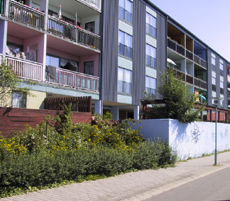 Boligafdeling Albertslund Nord
