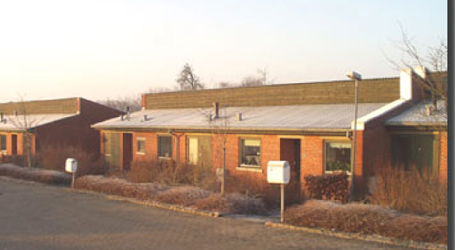Danelykke billede 1