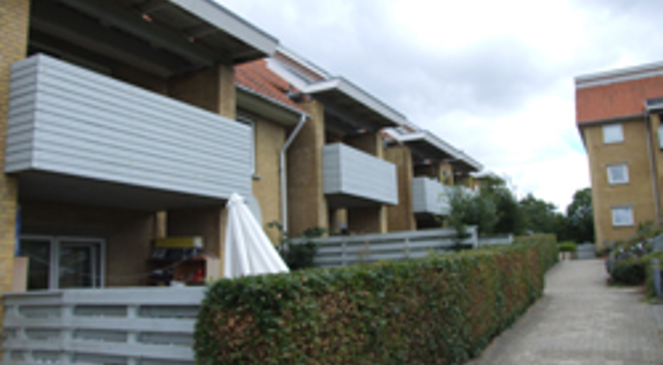 Humlevej billede 2