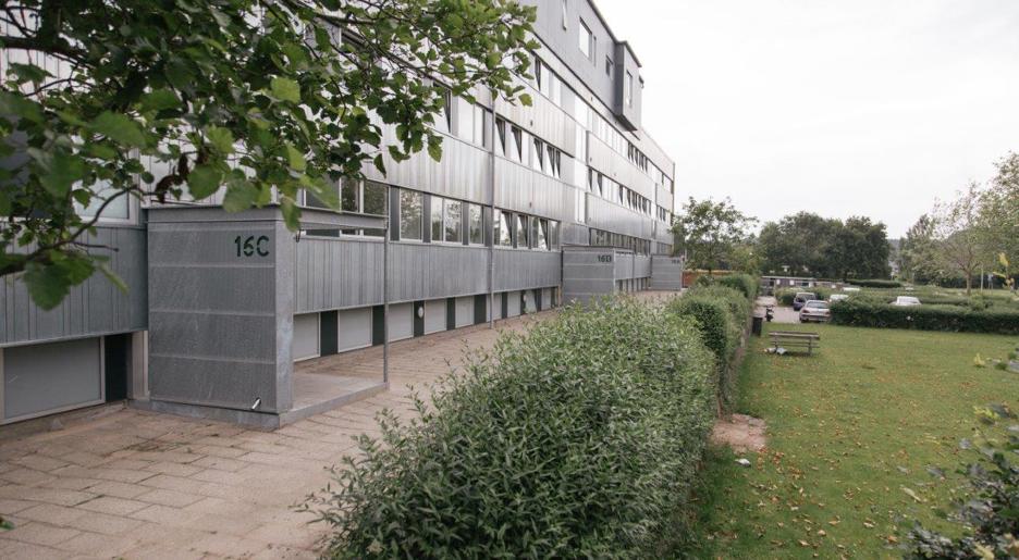 Løget Høj billede 2